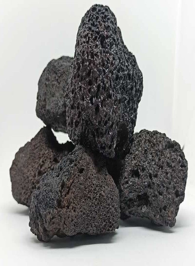 Maalavya Black Lava Rock for Aquarium Decoration and Garden Decoration (2 to 4 inch) 5 KG - Image 2
